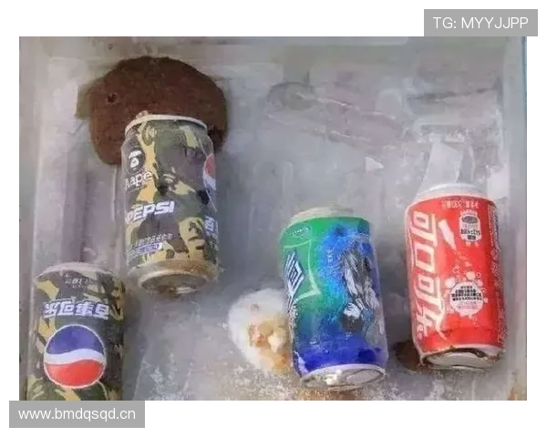 哈兰德冰箱里只放蛋白粉和冰水，连瓶可乐都找不到