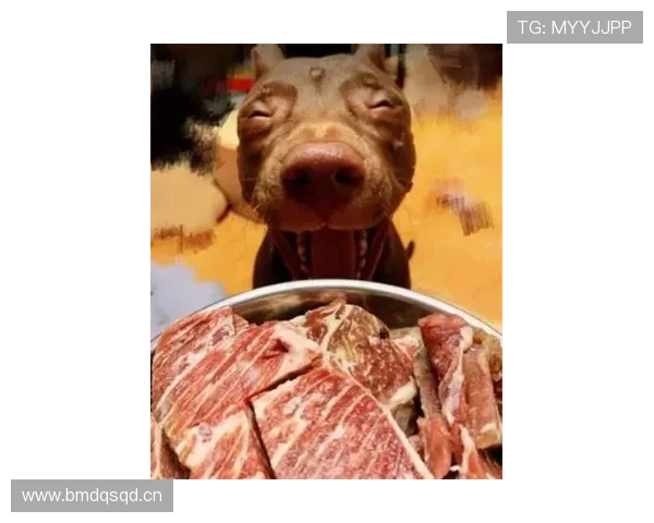 拉莫斯家的狗都吃有机牛排